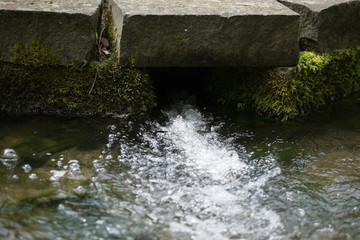 Wssereinlass am Weiher mit Moos Freigestellt