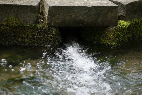 Wssereinlass am Weiher mit Moos Freigestellt