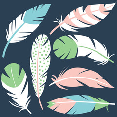 Decorative bird feathers collection