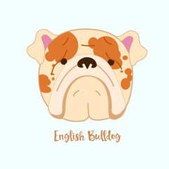 Vector dog English bulldog