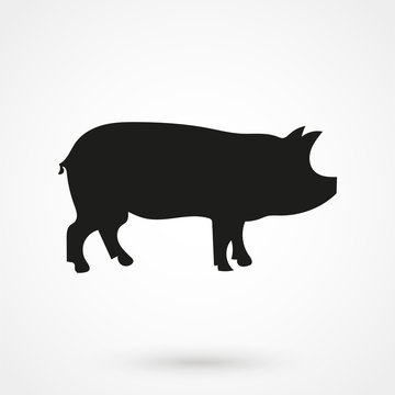 pig icon vector
