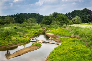 Fototapete Rund renaturierter Flusslauf © Bernd Rehorst