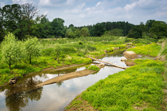 Renaturierter Flusslandschaft
