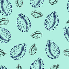 Seamless pattern with seashells on pastel color background. Hand drawn vector illustration.