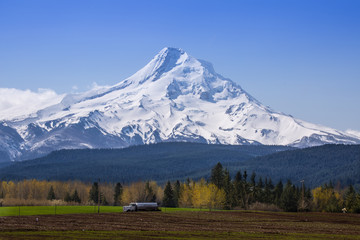 Snow-capped mountain of Oregon