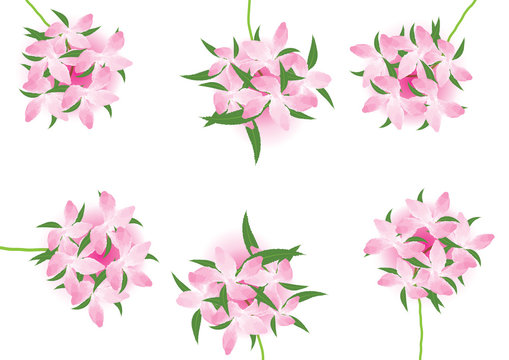 bouquet of pink flowers  isolated flowers for object or background. watercolor brush design not image trace .vector illustration