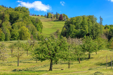 Fototapeta na wymiar Countryside landscape in the Zug region in Switzerland