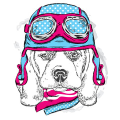 Cute dog wearing a helmet . Biker . Vector .  element for printed products or prints on clothes and accessories .