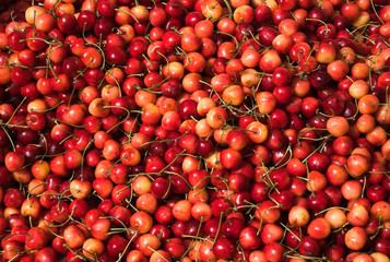 Berries sweet cherries. Background