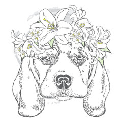 Cute dog in a wreath of roses . Vector illustration. Design element for printed products or prints on clothes and accessories .