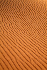 Red sand desert