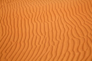 Red sand desert