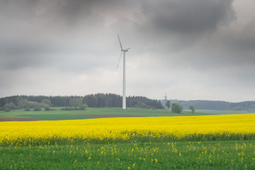 Germany, Stuttgart, Power pylon and wind wheels in yellow rape field