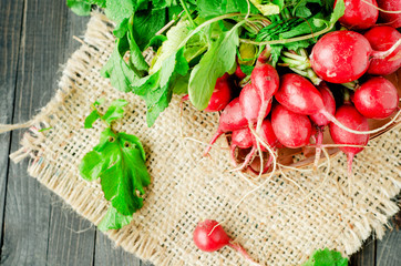 Fresh ripe summer useful vegetables , bunch of radish on a wooden background