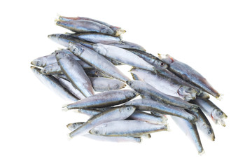 Bunch of frozen sprat fish isolated on white background