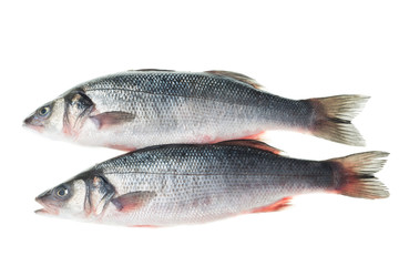 Frozen seabass isolated on white background