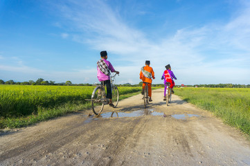 three boy cycling in paddy field