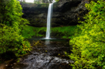 waterfalls and green trees