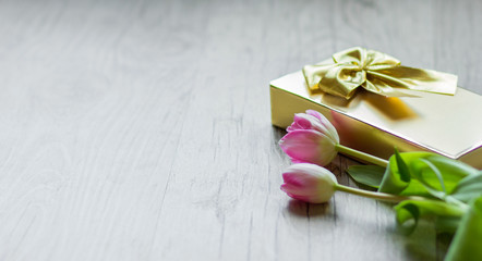 Tulips and gift on a gray background