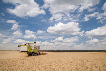 Obraz premium combine harvester on a wheat field with a cloudy sky