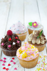 Assorted Cupcales on White Wooden Background