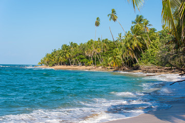 Fototapeta na wymiar Punta Uva beach in Costa Rica, wild and beautiful caribbean coast