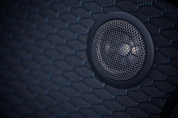 Car speaker detail