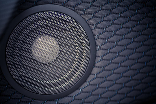 Car speaker detail