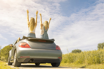 Rear view of young happy people enjoying road trip in their convertible 