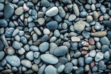 Smooth pebbles on the shore.