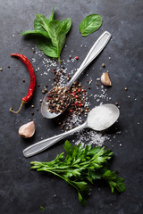 Pepper and salt spices. Mint and parsley herbs