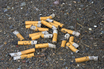Pile of old cigarette butts on the ground, tossed by careless, uncaring smokers