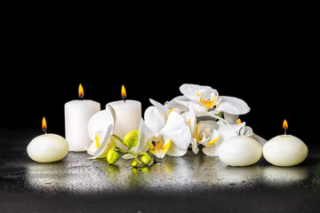beautiful spa background of blooming white orchid flower, phalae