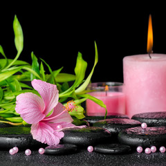 beautiful spa composition of pink hibiscus flower, twigs bamboo,