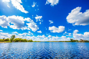 Picturesque forest and the river