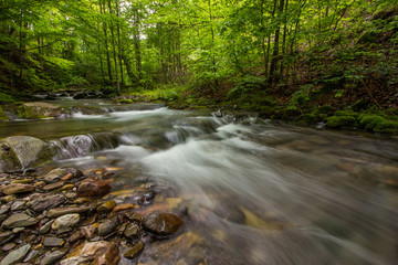 beautiful small river in green forest, Bulgaria