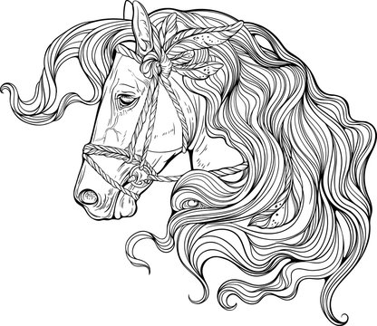 Portrait of a horse with long decorated mane.