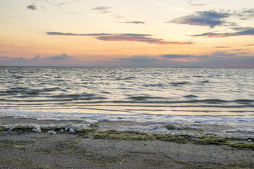 Foam and green algae on the coast