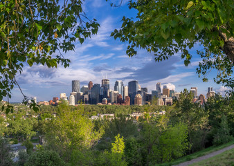 Fototapeta premium View of the Calgary skyline in the evening with parkland in the foreground.