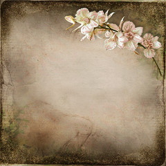 Old vintage background with a branch of orchids - obrazy, fototapety, plakaty