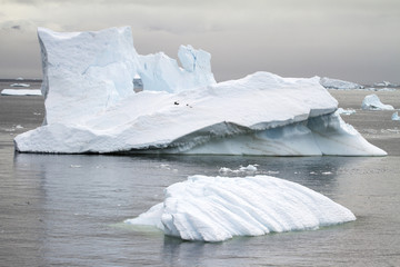 Antarctica - Non-Tabular Iceberg Floating In The Southern Ocean - Dry-dock Iceberg - close up - Travel Destination 