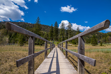 Fototapeta premium Brücke über eine sumpfige Wiese in den bayrischen Alpen