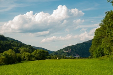 Obraz premium Meadow at the river Neckar near Heidelberg