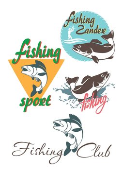  perch fishing logo