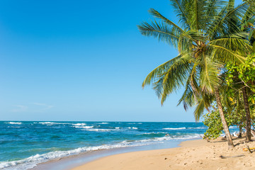 Obraz na płótnie Canvas Punta Uva beach in Costa Rica, wild and beautiful caribbean coast