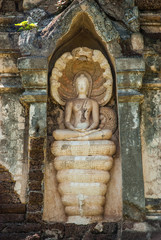 Fototapeta na wymiar Buddha image with overspread king of naga