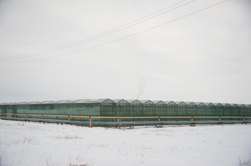 Greenhouses outdoors