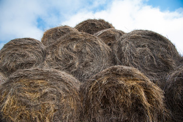 Straw haystacks piled together