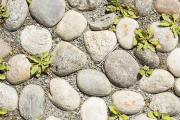 Fototapeta na wymiar Close-up of cobbled ground