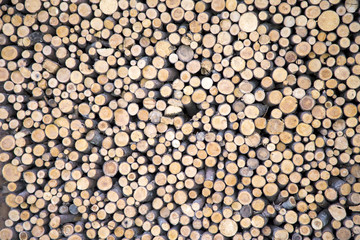 Texture of wood logs